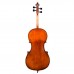 Firefeel S160-Violončelo sa koferom